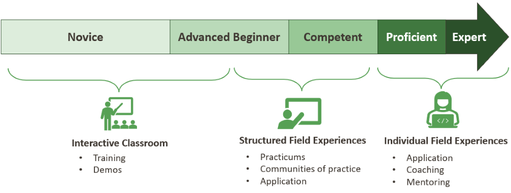 Novice, advanced beginner, competent, proficient, expert