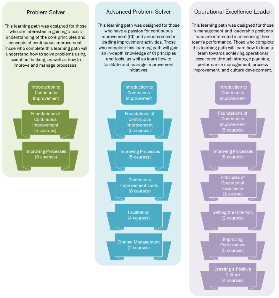 Problem solver, advanced problem solver, operational excellence leader